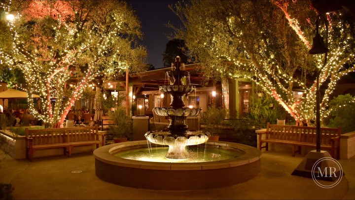 At Last, The Wedding&nbsp;Vows